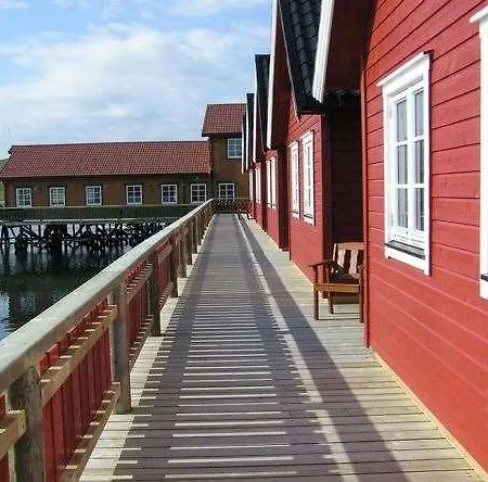Adventure Camp - *